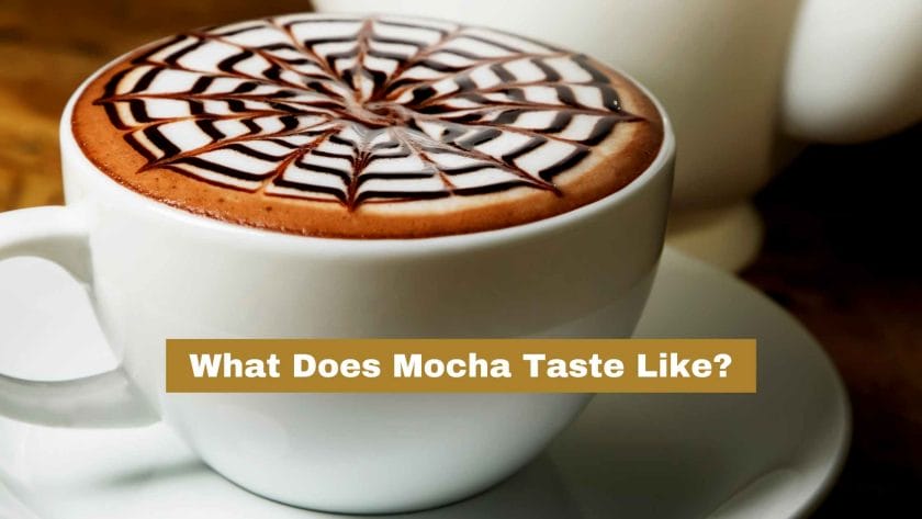 Photo of a mocha coffee with a web design on top. What does Mocha taste like?
