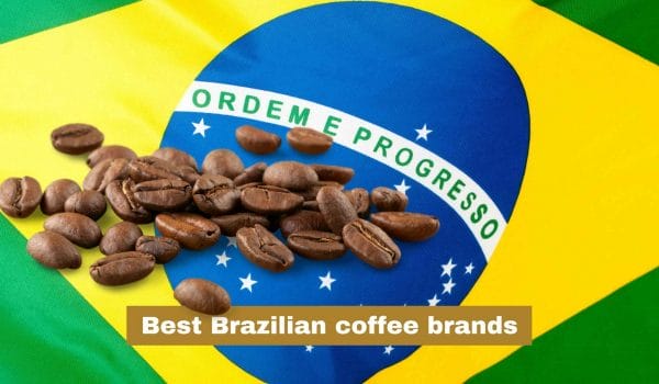 Best Brazilian coffee brands