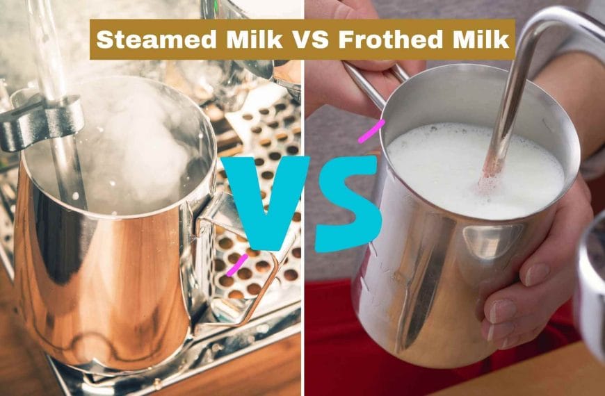 Steamed milk vs frothed milk