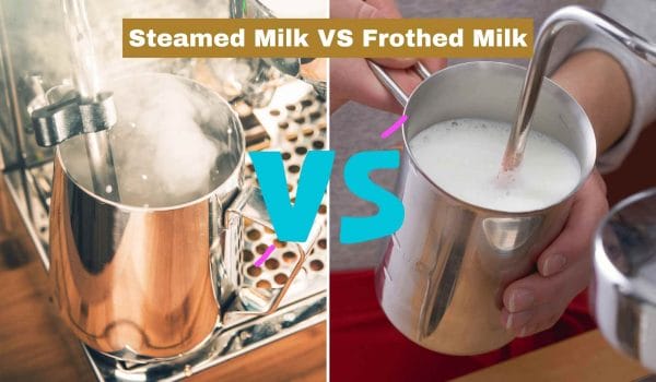 Steamed milk vs frothed milk