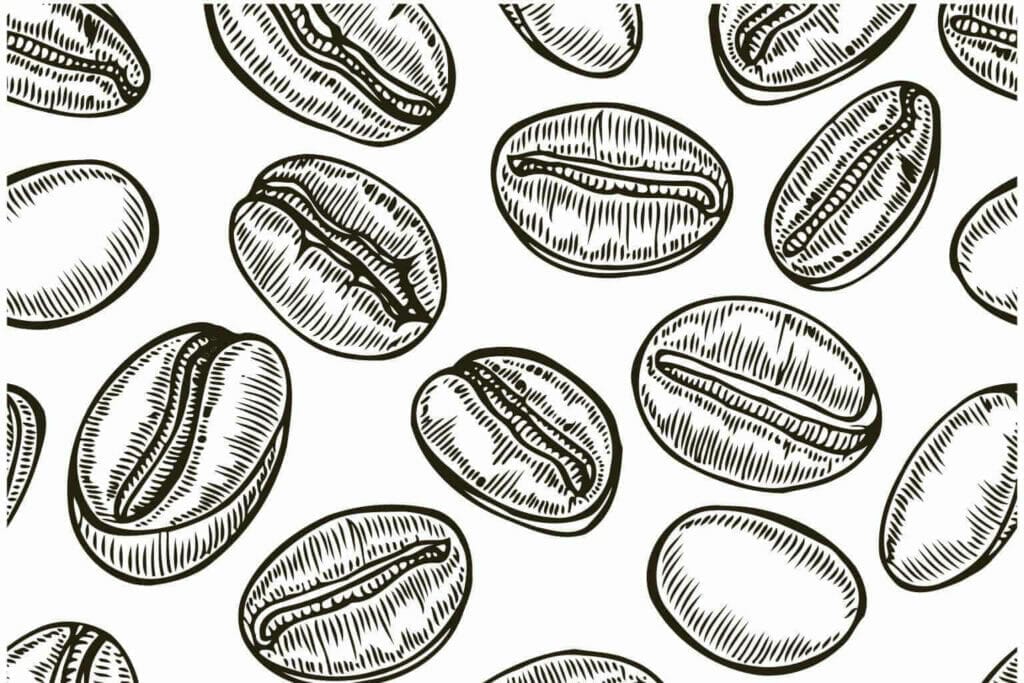 Drawing of coffee beans. Coffee slang