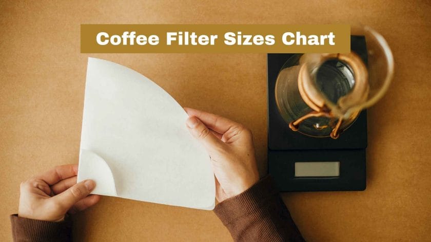 Photo of a person holding a big coffee filter. Coffee Filter Sizes Chart.