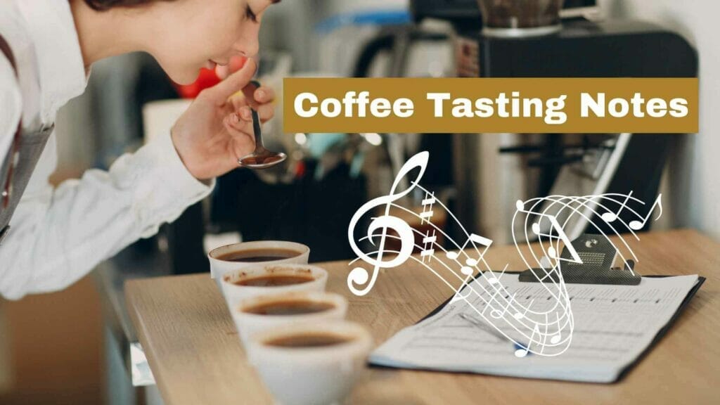 Photo of a woman barista tasting coffee. Coffee Tasting Notes.